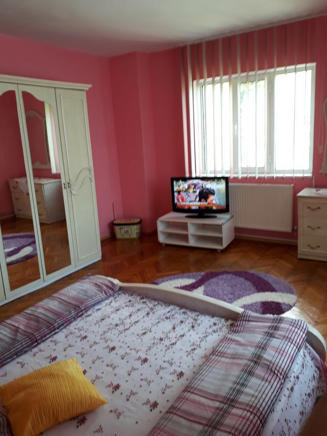 Casa Ade Apartment Calimanesti Exterior photo