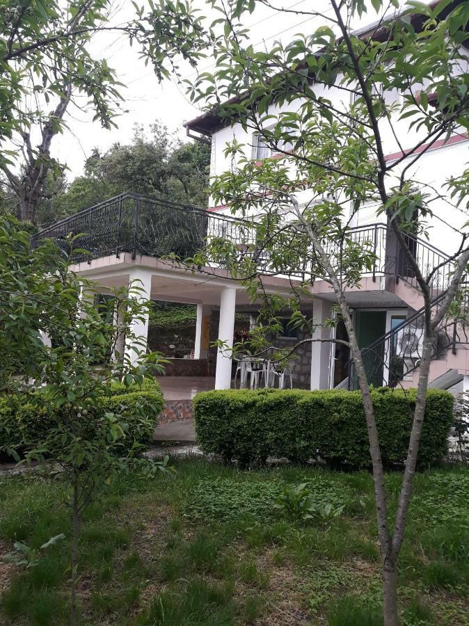 Casa Ade Apartment Calimanesti Exterior photo