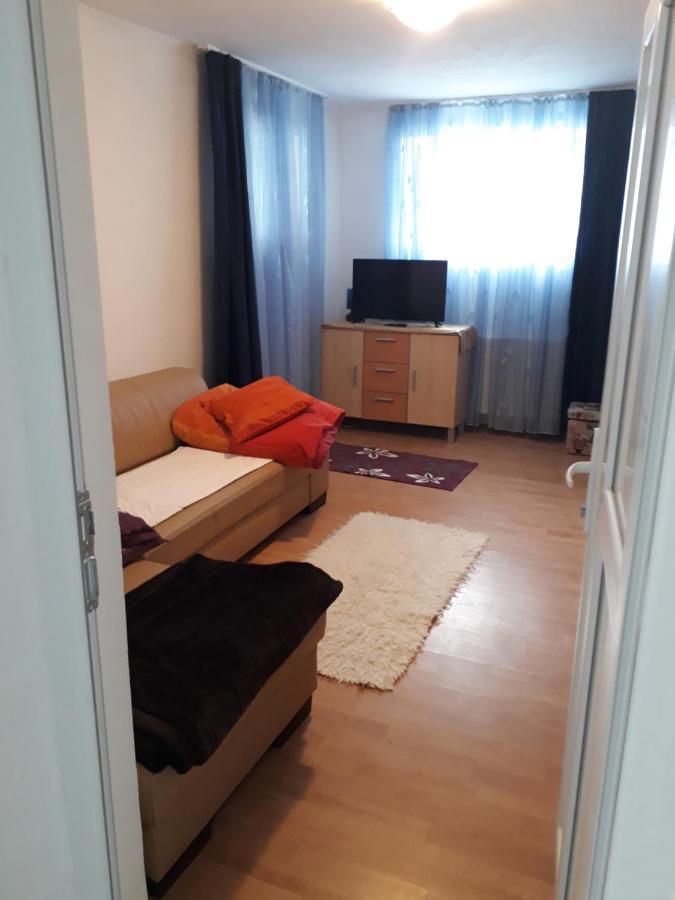 Casa Ade Apartment Calimanesti Exterior photo